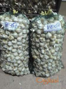 Prodajem domaći proljećni beli luk.