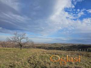 PETROVARADIN - PETROVARADIN - 1559.00 m2