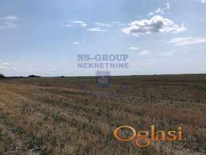 ~ Poljoprivredno zemljište u Žablju ~