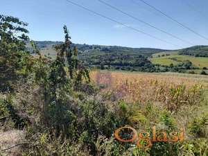 Odličan plac 9686m2 - Čerević!