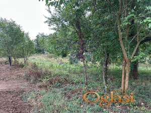 Odličan plac na Alibegovcu