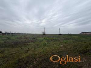 Budisava! Plac: 15.272 m2!