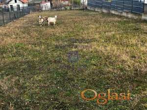 Plac u Petrovaradinu