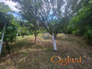 Top ponuda, odličan potencijal