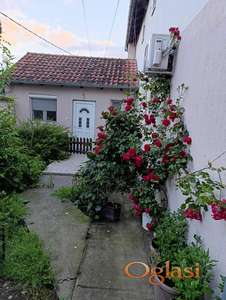 Garsonjera Zemun