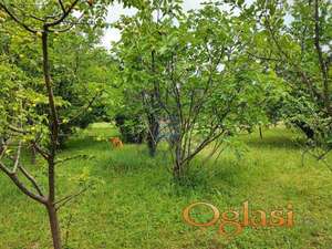 Plac 1102m2 Petrovaradin