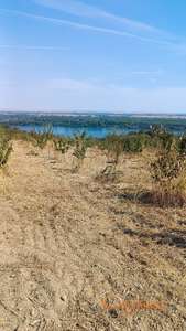 Kupite mir sa najlepšim pogledom na Dunav i Banat