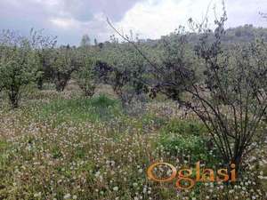 Plac 2117m2 Sremska Kamenica