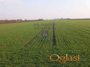 Inđija - plac u industrijskoj zoni