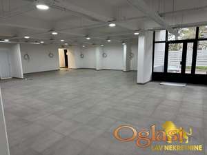 SREMSKA KAMENICA - INSTITUT - 251.00 m2
