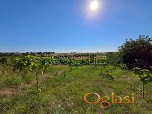 SREMSKA MITROVICA - ŠULJAM - 1200.00 m2