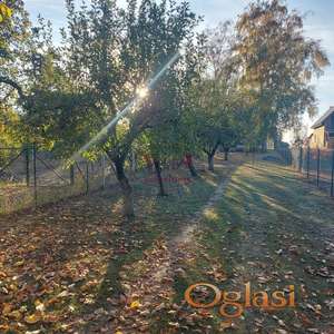Bačko Gradište, Biserno ostrvo, Lepa vikendica okružena zelenilom, sa izlazom na dve ulice