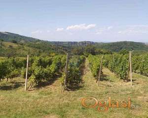 Poljoprivredno zemljište u Starim Ledincima!