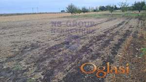 Plac na prodaju Kisač 2231m2