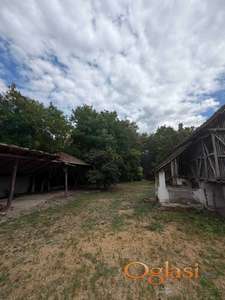 Beočin, Kuca sa pomocnim objektima (154m2) HITNO!