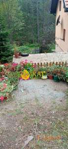 Tara, Kaluđerske bare, kuća, 170m2 ID#4413