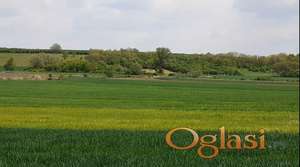 NA PRODAJU POLJOPRIVREDNO ZEMLJIŠTE U RUMI POVRŠINE 2,59 JUTARA