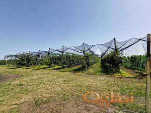 Ulaz u Temerin plac 1/1