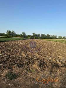 Predstavljamo Vam FENOMENALAN plac u Rumenci