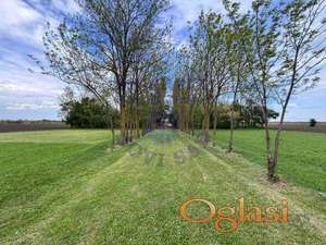 Na prodaju salaš u Bačkom Jarku!