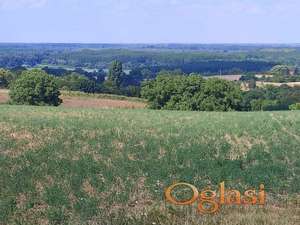 Fenomenalan ravan plac sa velikim frontom