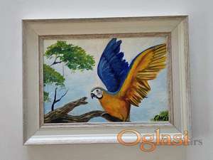 Ulje na platnu - Snaga krila, prelepo!