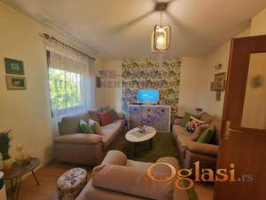 Porodična kuća u Veterniku!!! Vredno pažnje !!!