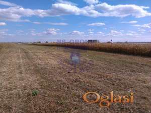 Na prodaju zemljište uz AUTOPUT između Novog Sada i Beograda