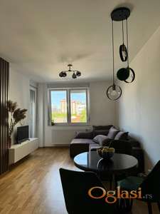 Izdavanje novog stana – Početak Telepa, Laze Lazarevica