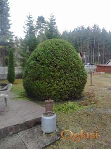 Uredjenje dvorista Zlatibor i okolina