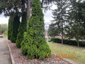 Kuća na potezu Salaksija