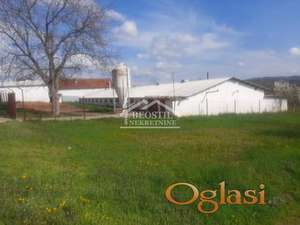 Grocka - Umčari - Farma na 19a ID#24917