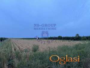 533598-Predstavljamo Vam plac površine 5909m2 - poljoprivredno zemljište