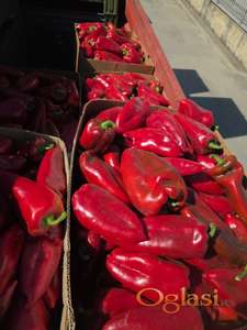 Crvena paprika ajvaruša