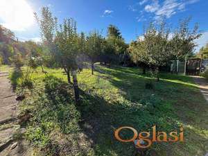 Petrovaradin, Širine