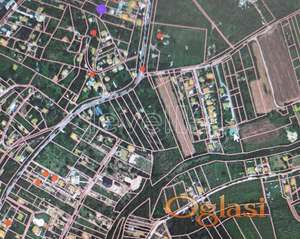 PETROVARADIN - TRANDŽAMENT - 3783.00 m2