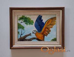 Ulje na platnu - Papagaj u letu, prelepo!