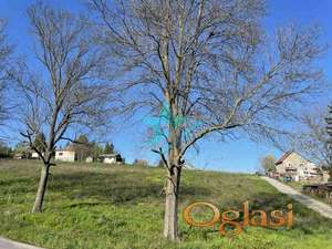 Prodaja kuće sa okućnicom u Sopotu ID#1243