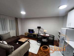 RENOVIRAN JEDNOIPOSOBAN STAN, DETELINARA