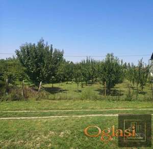 Odličan plac u Futogu! Plac: 1610 m2!