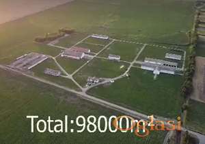 PLAC - BAČKO DOBRO POLJE - B.D.POLJE - 97913m2 - 539000 evra