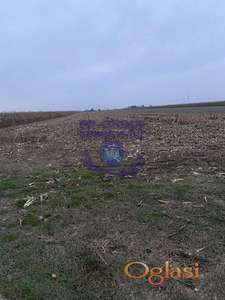 Odlican plac u Bačkom Jarku 6768m2