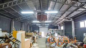 Milenije Ivanović, Baćevac, Barajevo ID#7468