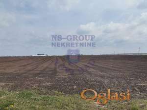 Odličan poljoprivredni plac! Front oko 67m! Deo pre Pejićevih salaša!