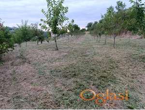 Sviloš - Fruška Gora - Zemljište 976 m2 - Gradjevinsko!