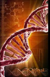 Izrada diplomskih - Biologija