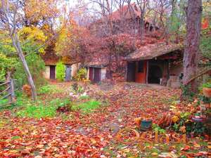 Odlična vikendica u Čortanovcima