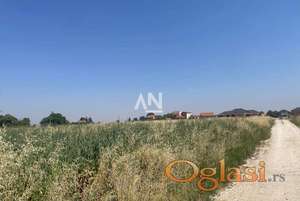 Surčin, Jakovo, plac ID#21548