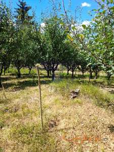 Odlican plac na potezu Banostor!