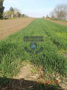 Prodajem građevinsko zemljište